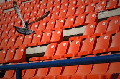 Las voces del Estadio