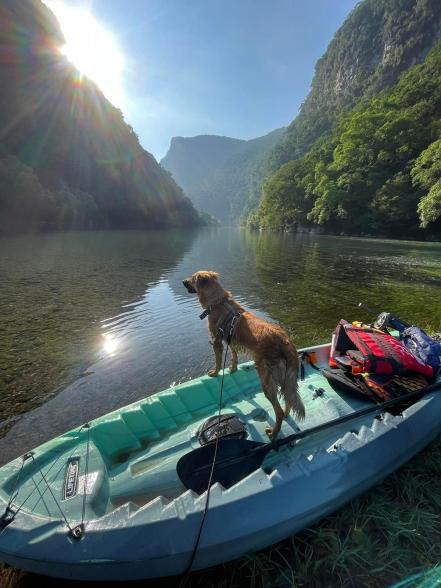Covidia, la perrita que invita a descubrir la Huasteca potosina  