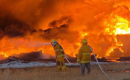Continúa SLP como la entidad más afectada por los incendios forestales en lo que va de 2026 