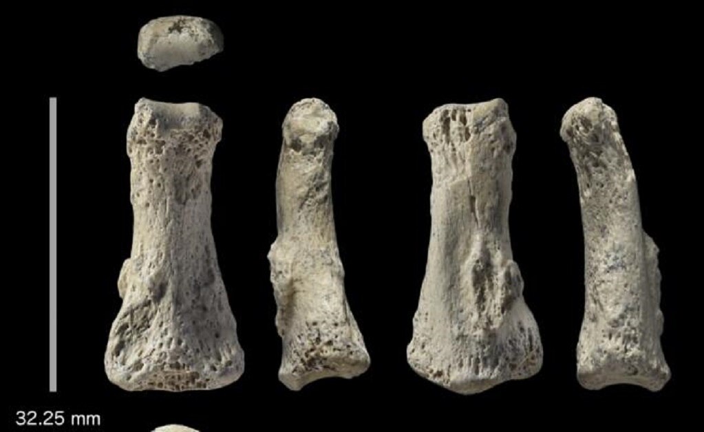 Los homo sapiens llegaron más lejos de lo que se pensaba