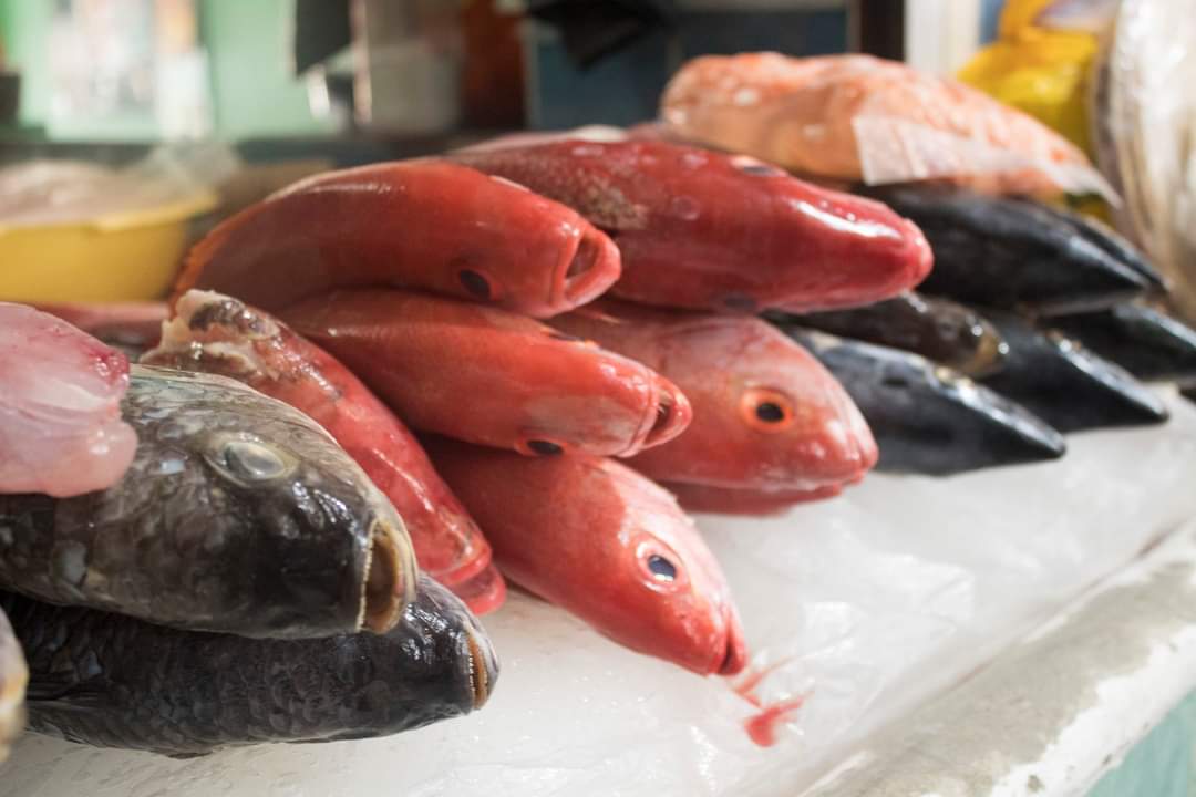 Registran marisquerías de SLP incremento en ventas por Cuaresma; temen escasez por sobredemanda