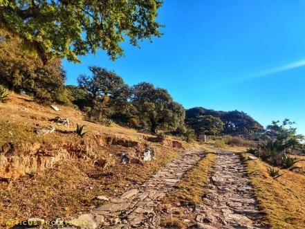 ¿Qué ver y hacer en la Cueva de Los Caballos, en Zaragoza?