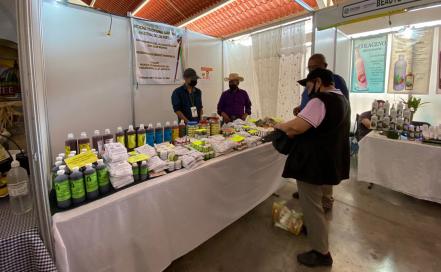 Limpias y remedios. Curanderos de la Huasteca ofrecen medicina ancestral en la Fenapo 