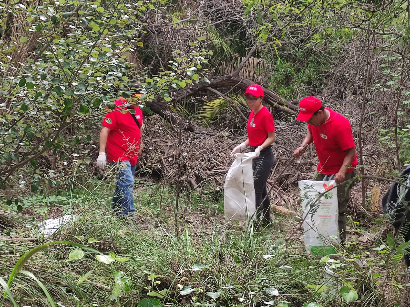 Con estas acciones, buscan recuperar áreas degradadas
