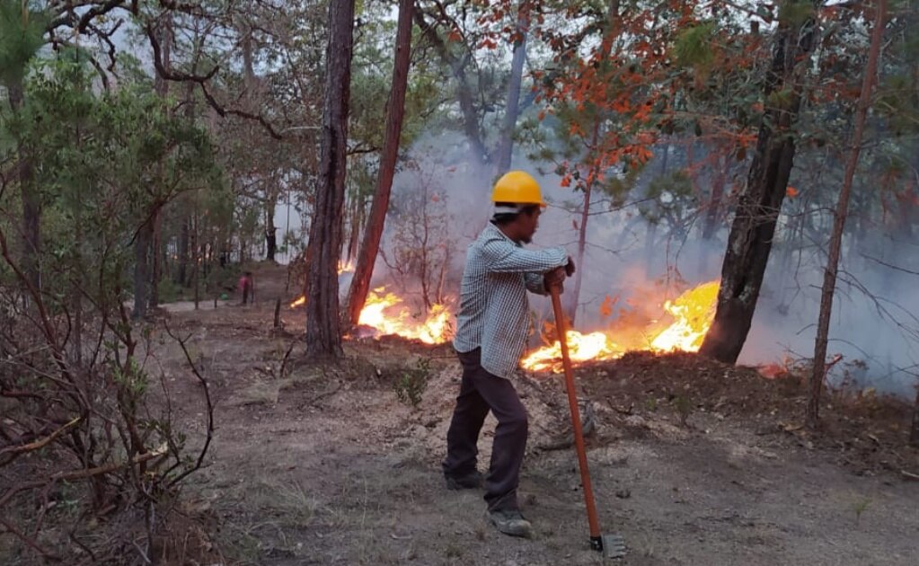 Controlado en 95%, incendio forestal en Sierra de Bagres: Conafor en San Luis Potosí