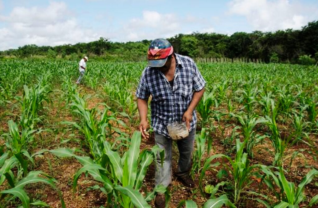 Buscan que pequeños productores recuperen ecosistemas para generar ingresos 