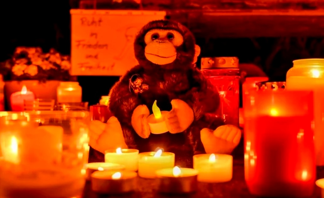 Se entregan madre e hijas tras ocasionar incendio en zoo alemán