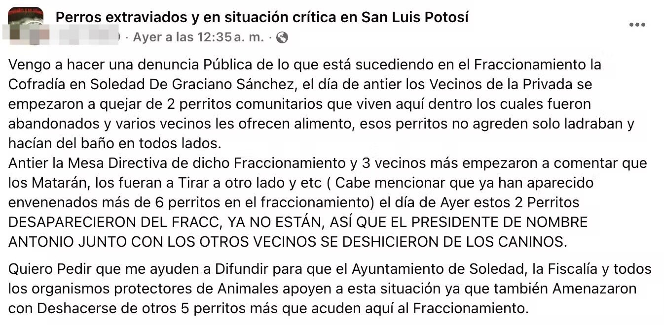 Foto: Redes sociales