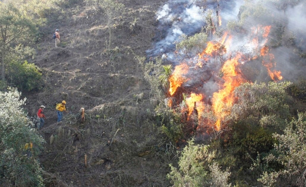 Incendios forestales. Foto: Archivo/EL UNIVERSAL