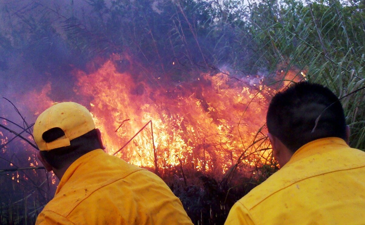 Descartan que incendio en El Aguaje consumiera parte de la Sierra de San Miguelito
