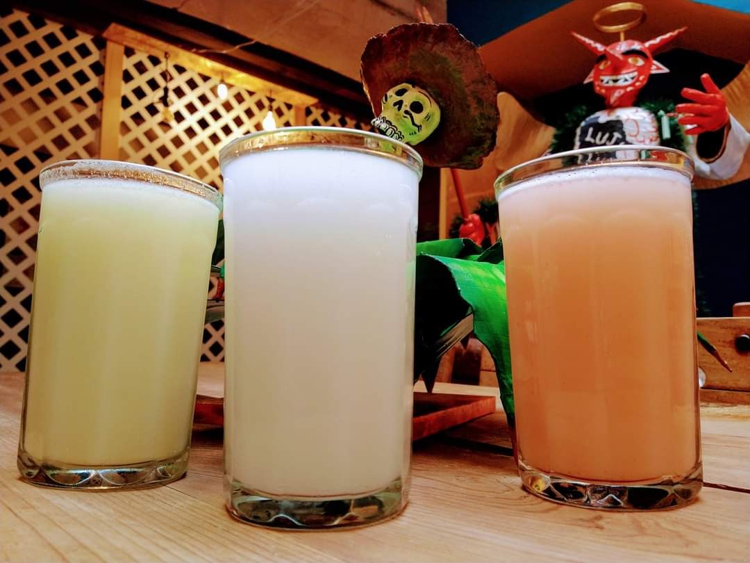 Ruta Mágica del Pulque en SLP, así puede recorrerla este fin de semana