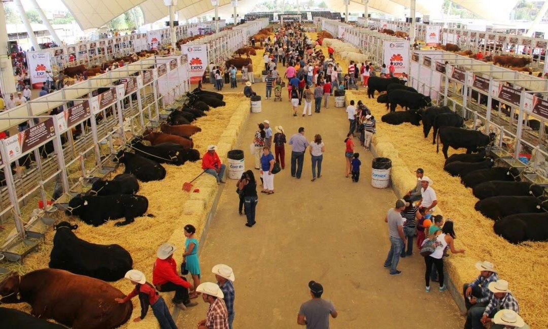 Entregan presea al “Mérito Ganadero FENAPO 2018”  