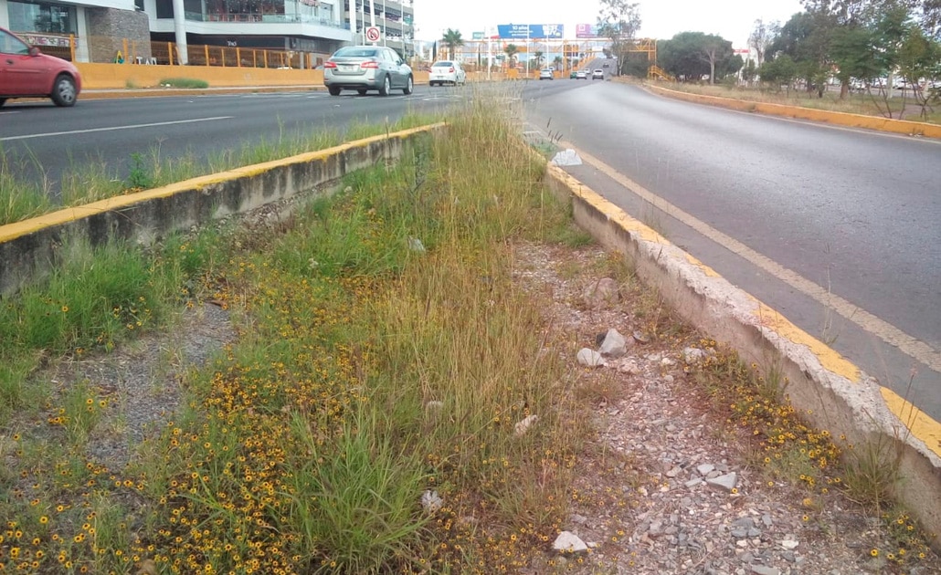 Foto: El Universal San Luis Potosí