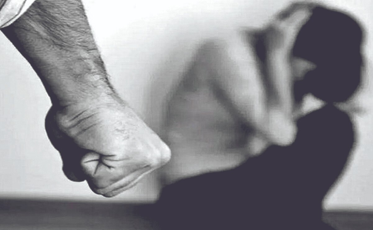 Partido Verde busca modificar la ley, ante aumento de violencia intrafamiliar en SLP 