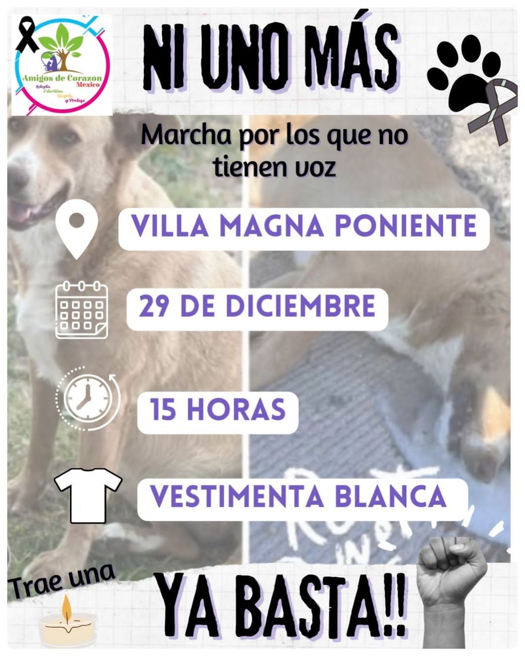 La cita será este viernes 29 de diciembre, desde las 15 horas en Villa Magna Poniente