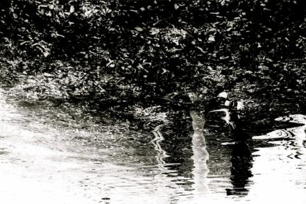 “V de Venus”, el proyecto cultural que arropa y difunde el trabajo de artistas potosinas