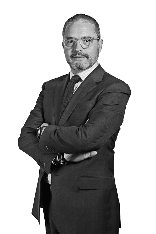 Gerardo Velázquez de León