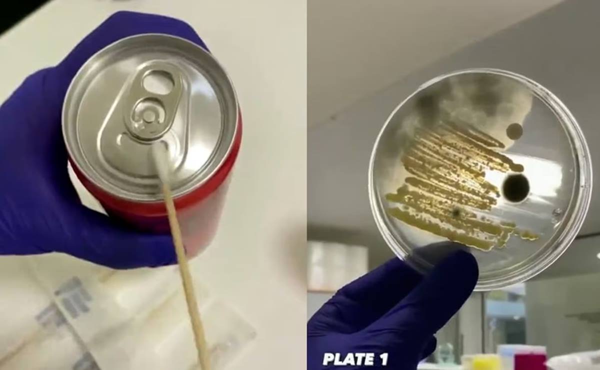 El video de las bacterias evidenció cuál es la mejor manera de limpiar las latas de refresco. Foto: X @anonimo_jones