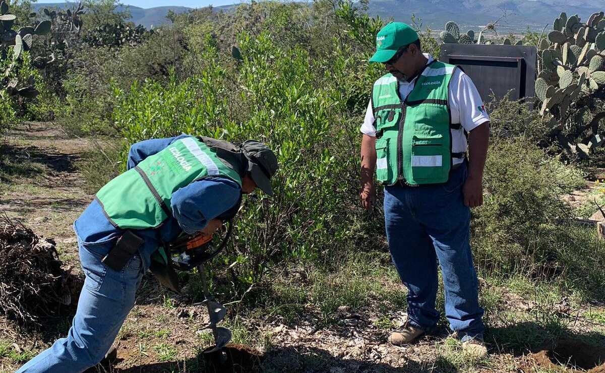 Segam vuelve a ser la peor evaluada en SLP durante noviembre. Foto: Especial