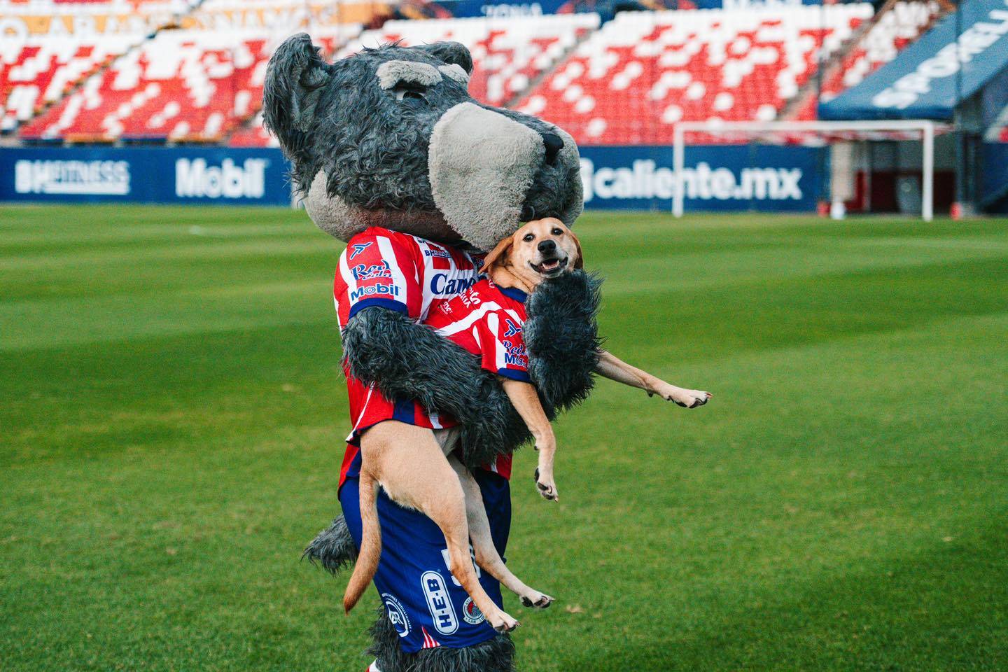 Lucho y Tunita. Foto: Facebook Atlético de San Luis