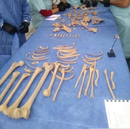 25N. “Somos la voz de quienes ya no la tienen”, Celia Cisneros mujer perito en San Luis Potosí