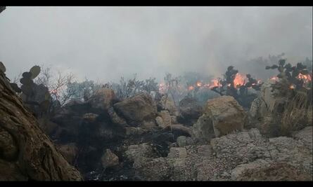 Reportan incendio forestal en el ejido Las Moras