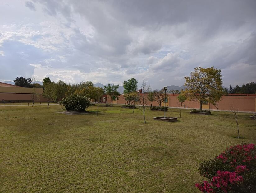 Foto: Jazmín Ramírez EL UNIVERSAL