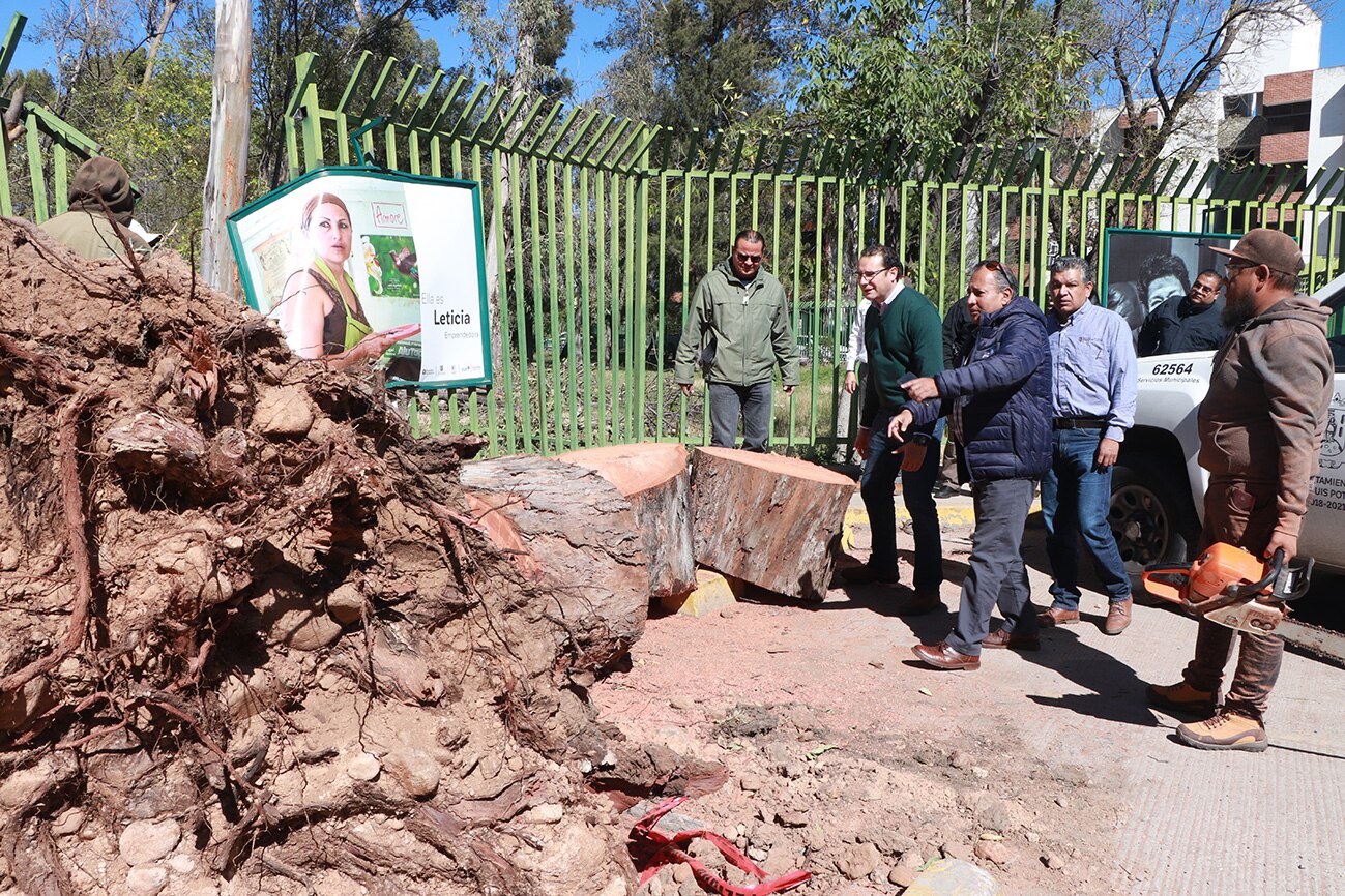 Continúa monitoreo por fuertes vientos en SLP