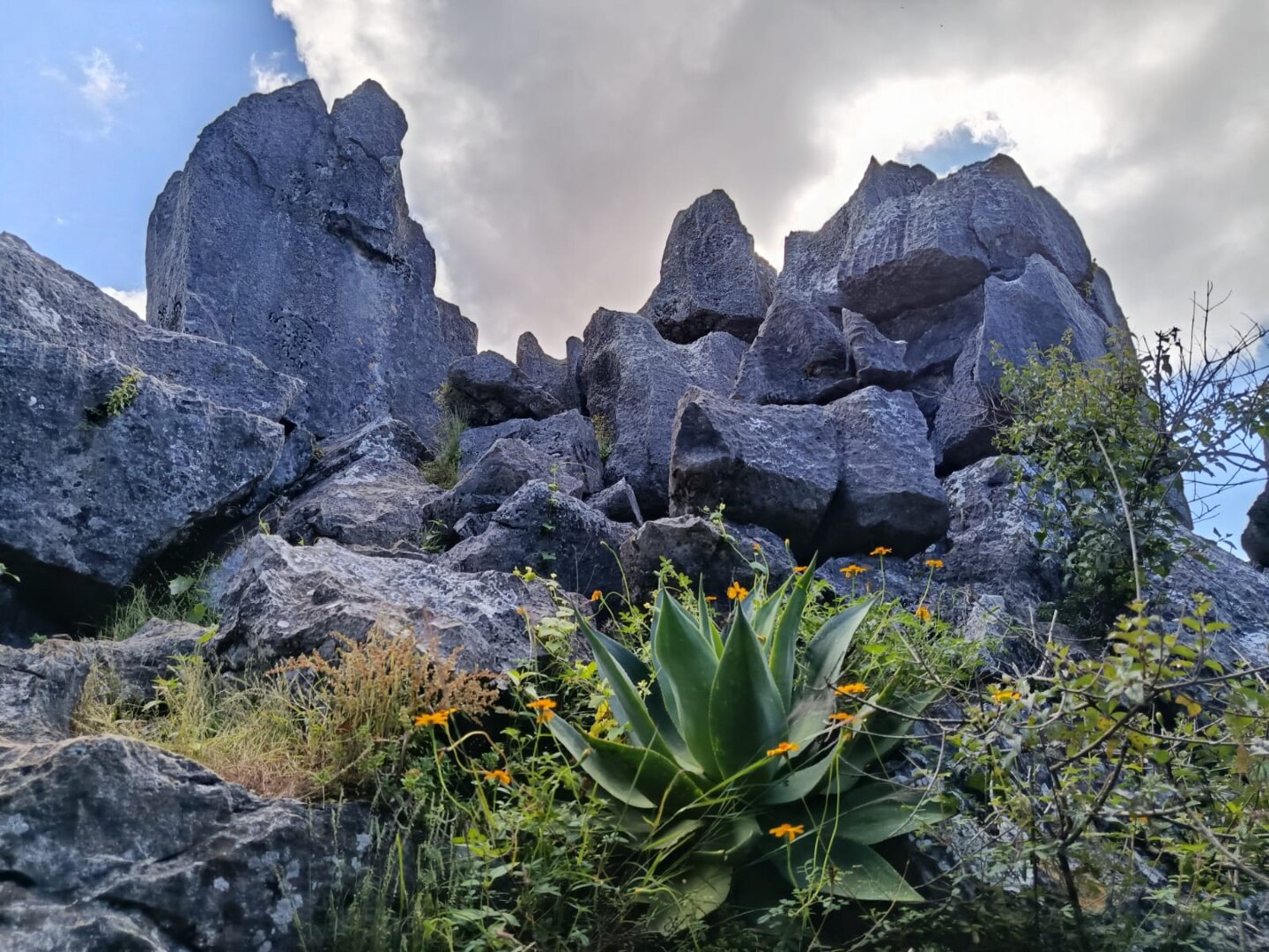 Foto: Un Shot de Ciencia.