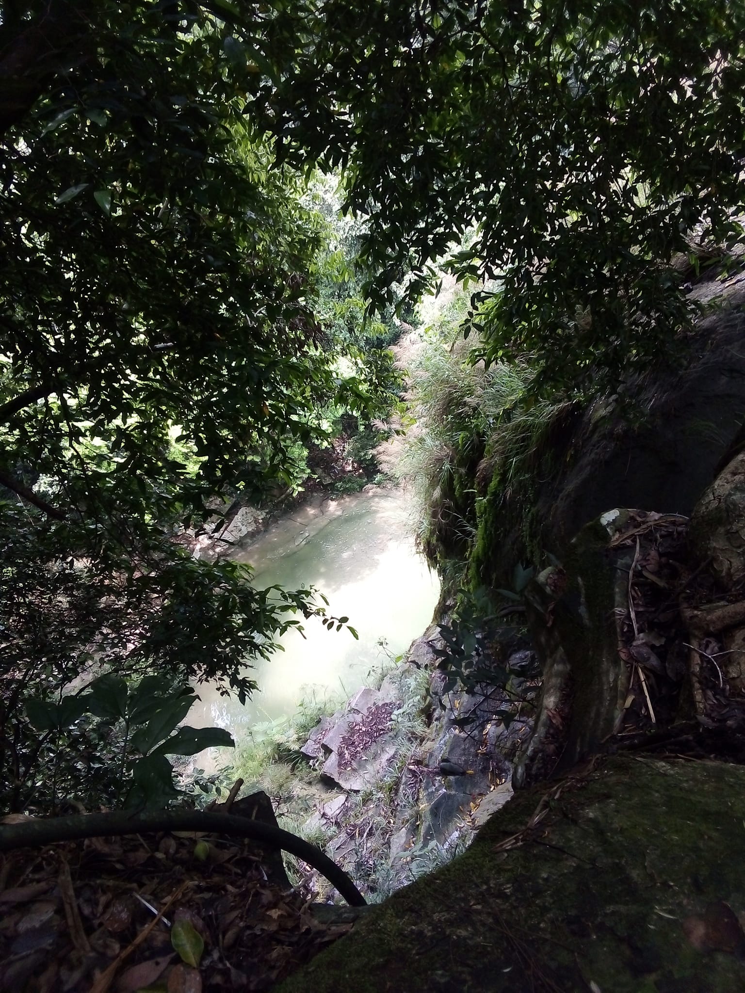 Paraje en la Huasteca Potosina. Foto: Cascada de Tilapa