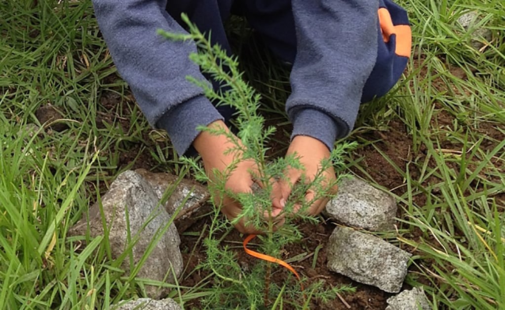 SEGAM planta 400 árboles en Parque Urbano “Paseo de la Presa”