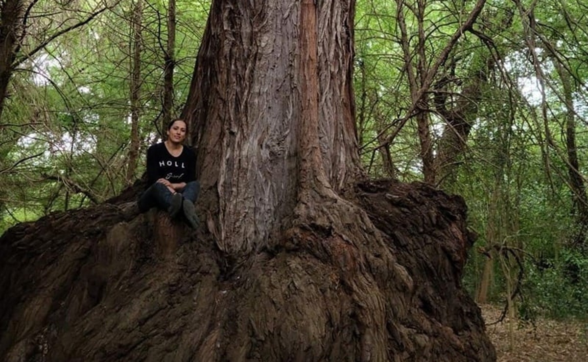 El Sauco: el manantial secreto que transforma el Altiplano de SLP. Foto: San Luis Potosí Turismo - @lilimartinez86.