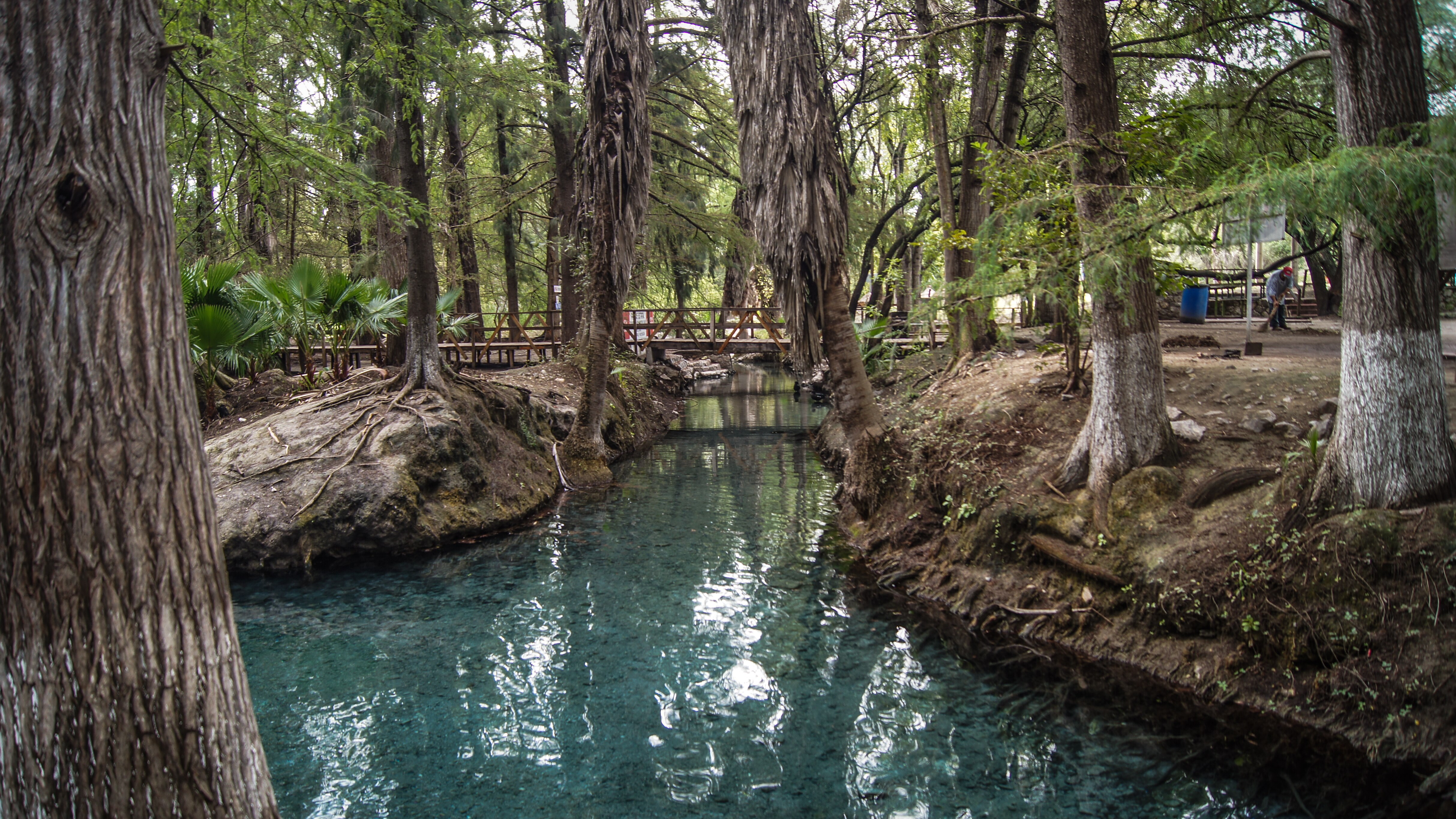 Manantial de la Media Luna. Foto: slp.gob.mx