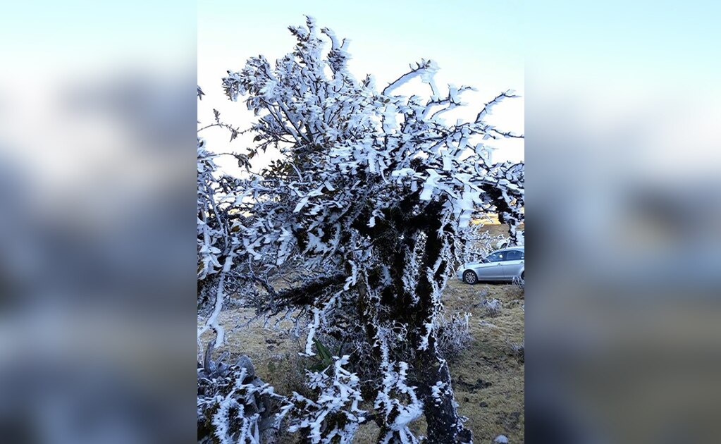 Amanece  “helada” Sierra de Álvarez