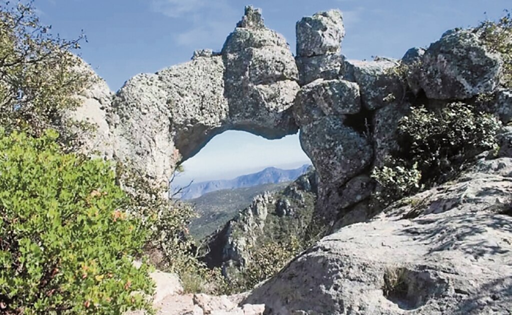 Foto: cortesía Norma Rivera.