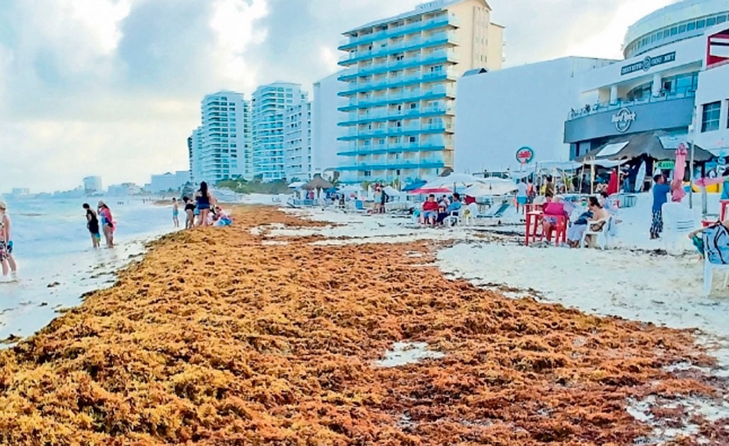 En la playa del Forum, en Punta Cancún, una barrera de sargazo divide la zona de playa donde los turistas toman el sol. Los visitantes afirman que el olor de la macroalga es desagradable. FOTO: ADRIANA VARILLAS. EL UNIVERSAL