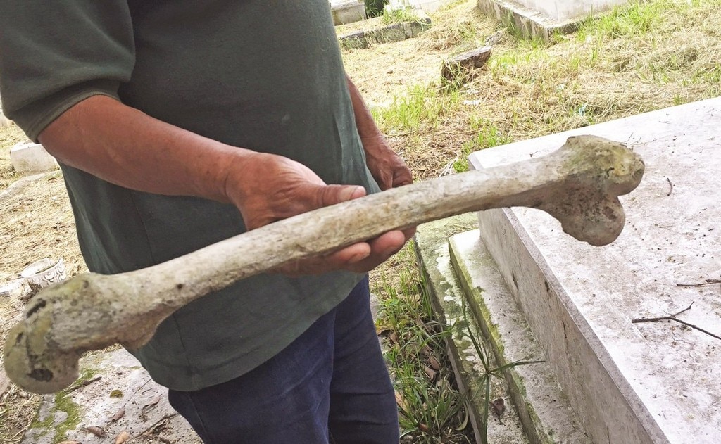  Desde 20 pesos venden huesos humanos
