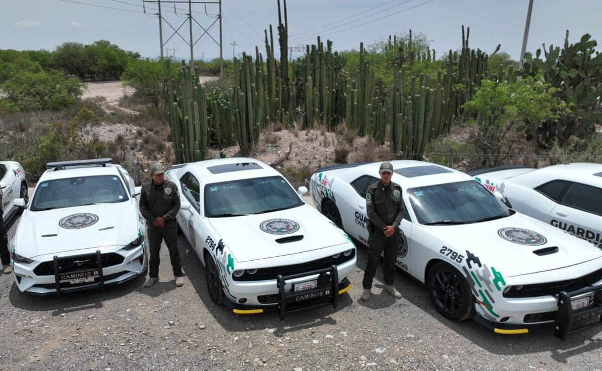 Federación rechazó que Guardia Civil de Caminos patrulle la carretera 57 en SLP, confirma Gallardo