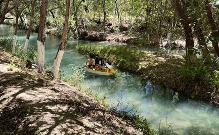 Ojo de Agua, un oasis mágico y natural en el corazón del Altiplano potosino