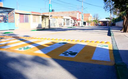 Entrega Paty Aradillas rehabilitación de calles León y Celaya en Villa de Pozos, SLP