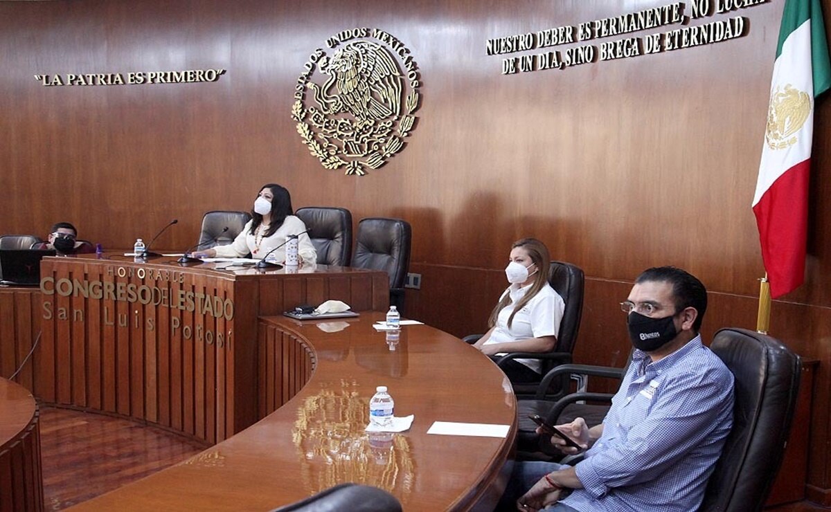 Avanzan 9 aspirantes a presidir Derechos Humanos en SLP