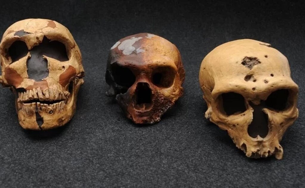 Hallan genes de una especie "fantasma" en ADN del humano moderno