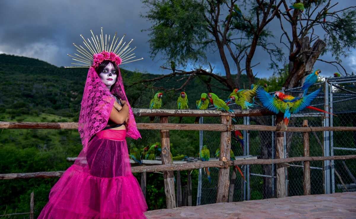 Fotógrafos potosinos crean postales con catrinas para resaltar bellezas naturales de la zona Media