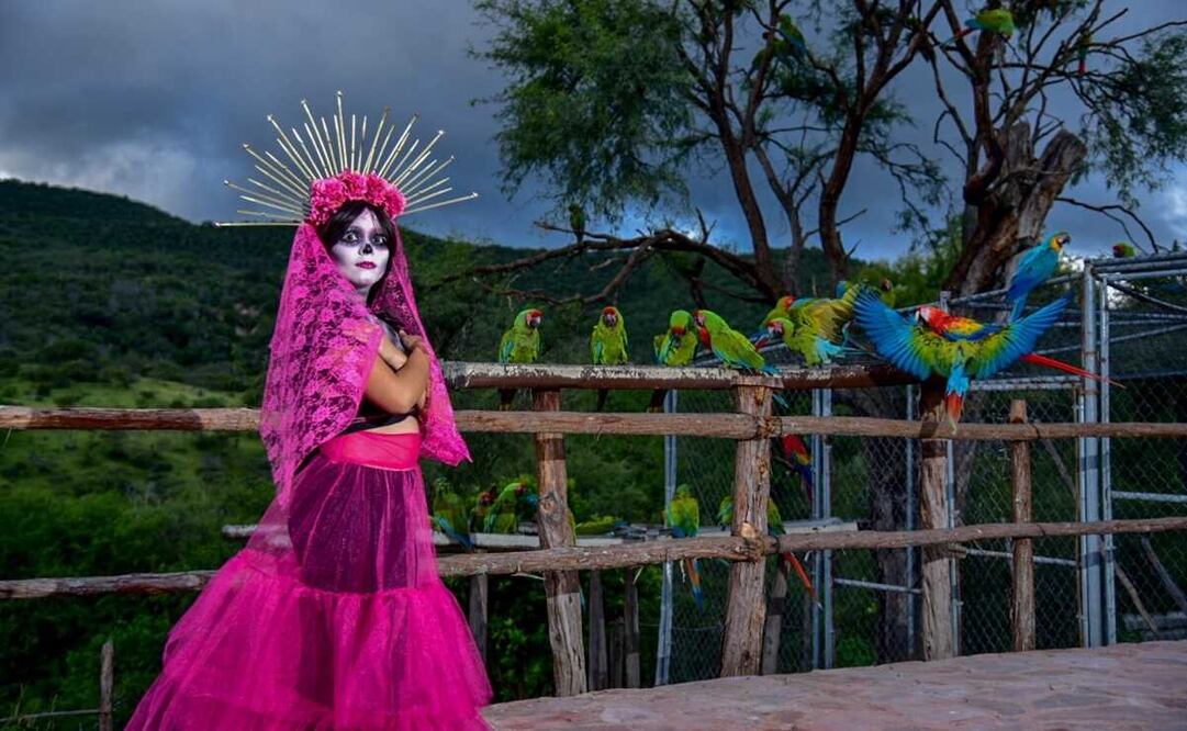 Fotógrafos potosinos crean postales con catrinas para resaltar bellezas naturales de la zona Media. Fotos: Cortesía Jorge Eduardo