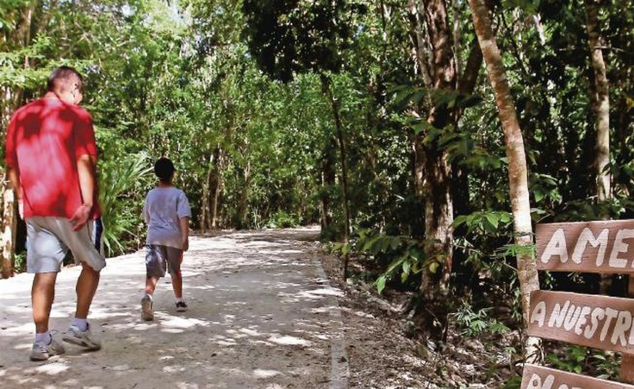  En riesgo, 15 áreas por Tren Maya