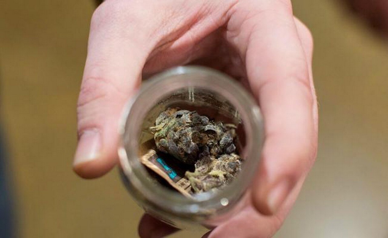 Israel da luz verde a exportación de marihuana con fines medicinales