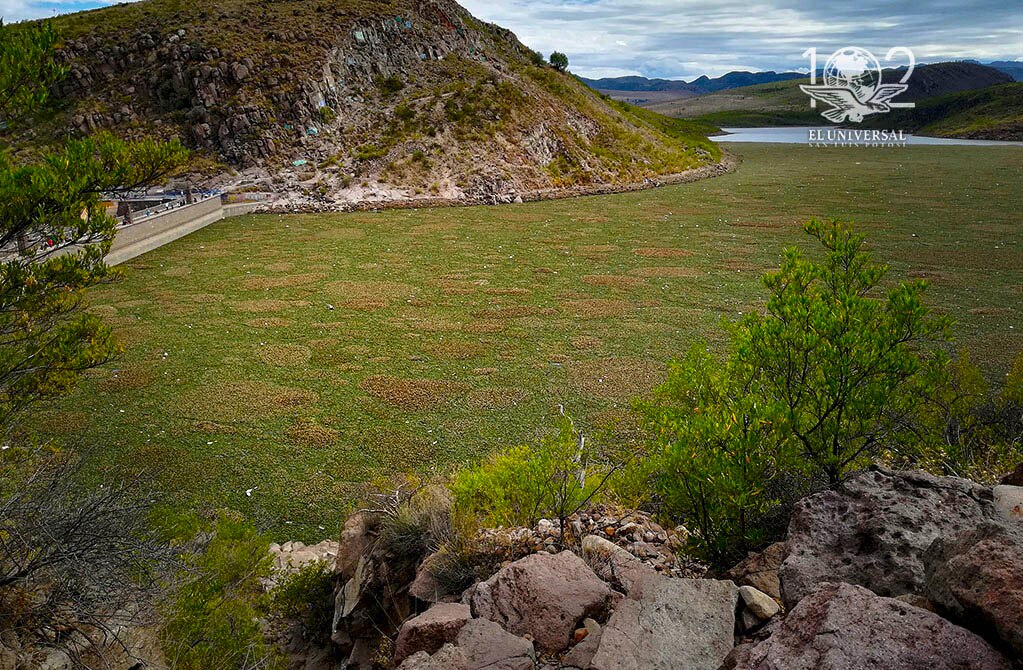 Tres niveles de gobierno olvidan tema ambiental