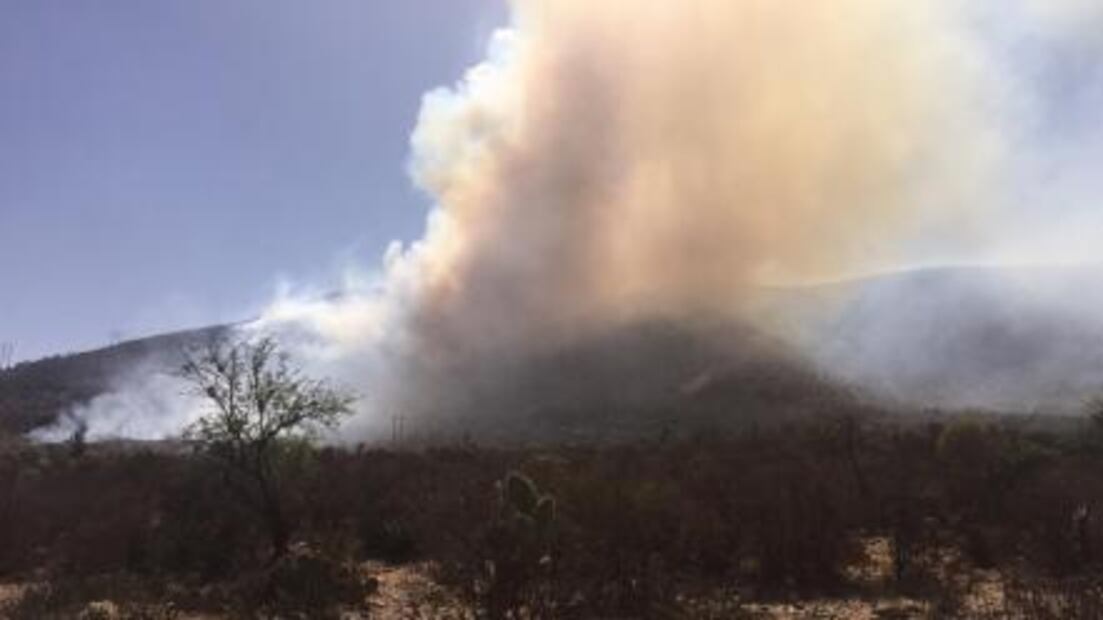 Incendio forestal fuera de control en Matehuala 