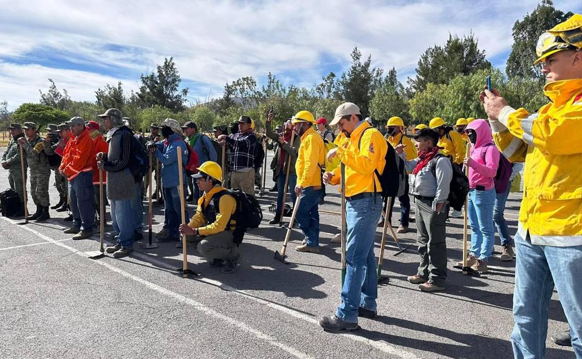 Combaten 250 brigadistas incendios forestales en San Luis Potosí 