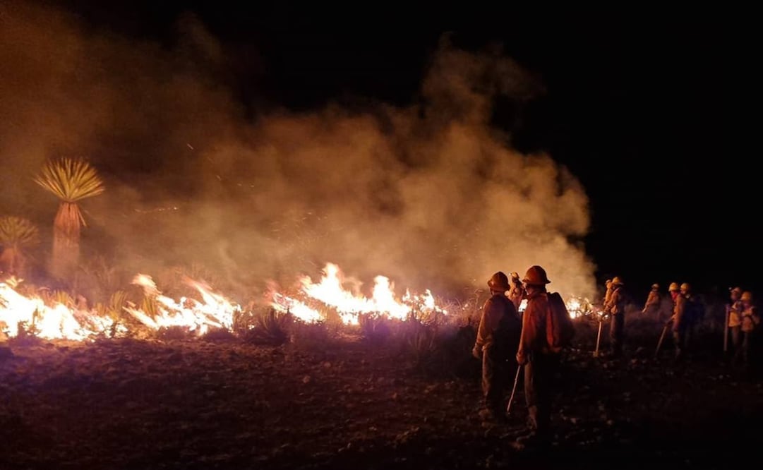 Incendios forestales en SLP han dejado más de 23 mil ha. afectadas este año. Foto: Especial